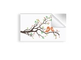 40x60 ס"מ