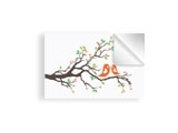 40x50 ס"מ 