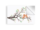 50x60 ס"מ